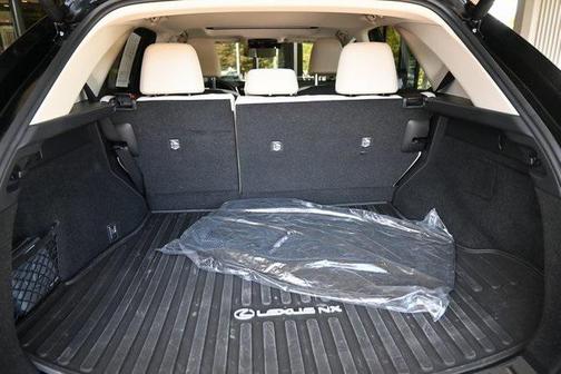 2025 Lexus NX 450h+ Luxury