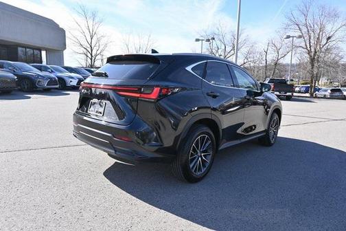 2025 Lexus NX 250 Premium