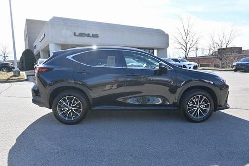 2025 Lexus NX 250 Premium