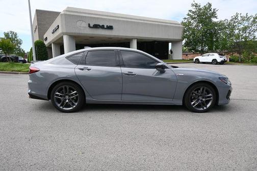 Urban Gray Pearl 2025 Acura TLX A-Spec