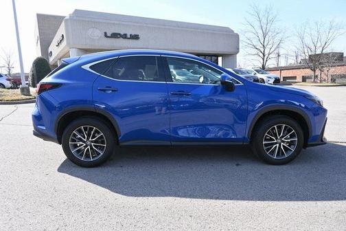 2025 Lexus NX 250 Base