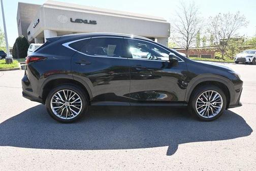 2022 Lexus NX 350h Premium