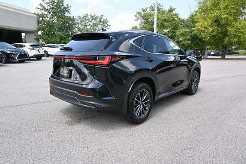 2024 Lexus NX 350h Luxury