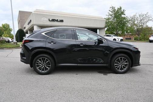 2024 Lexus NX 350h Luxury
