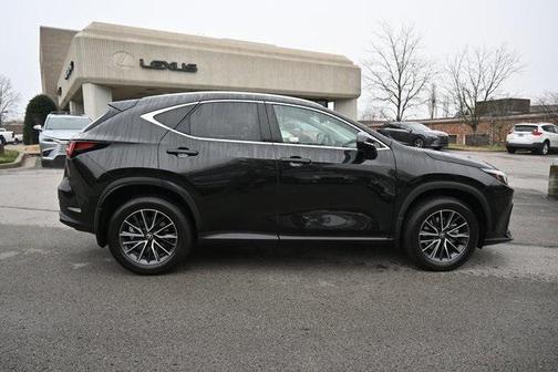 2025 Lexus NX 250 Premium