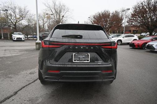 2025 Lexus NX 250 Premium