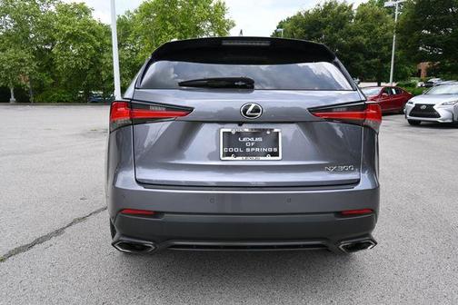 Gray Pearl 2019 Lexus NX 300 Base