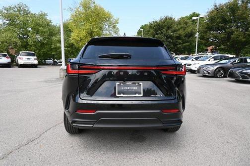 2025 Lexus NX 250 Premium