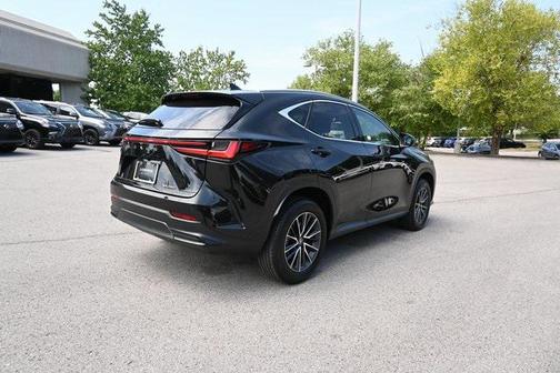 2025 Lexus NX 250 Premium