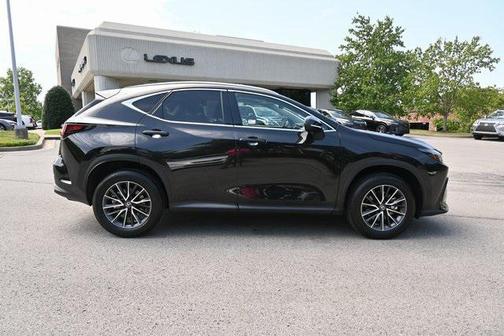 2025 Lexus NX 250 Premium