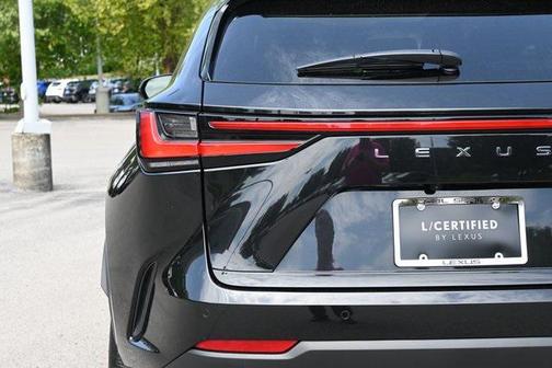 2025 Lexus NX 250 Premium
