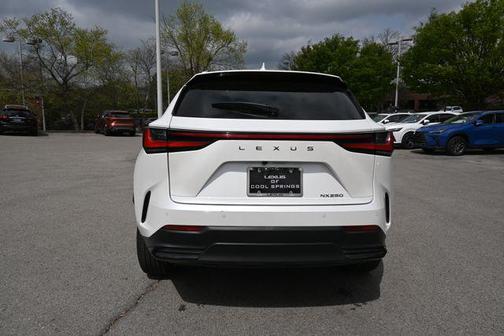 White Pearl 2022 Lexus NX 250 Premium