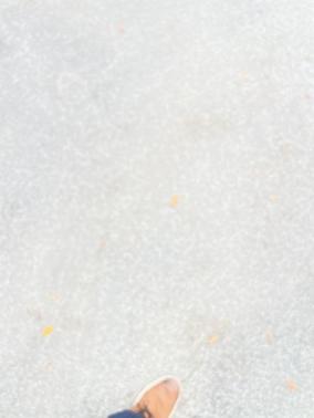 2019 Toyota RAV4 Hybrid SE