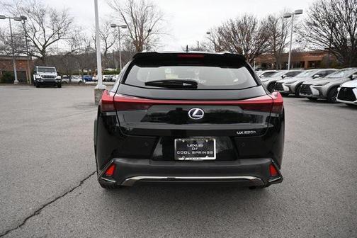 2022 Lexus UX 250h F Sport