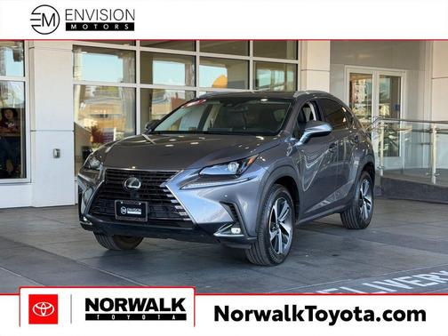 Nebula Gray Pearl 2018 Lexus NX 300 Base