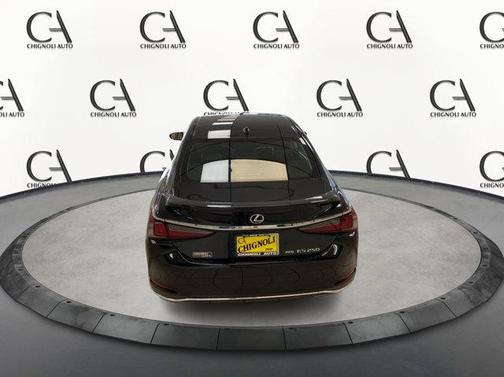 2022 Lexus ES 250 Luxury