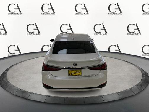 2022 Lexus ES 250 Luxury