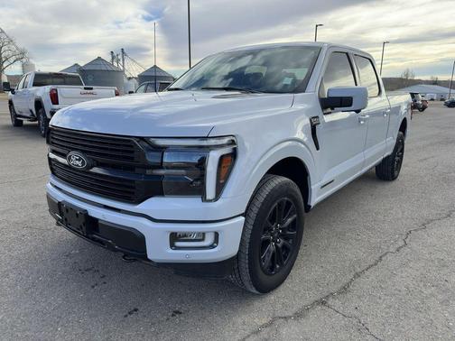 2025 Ford F-150 Platinum