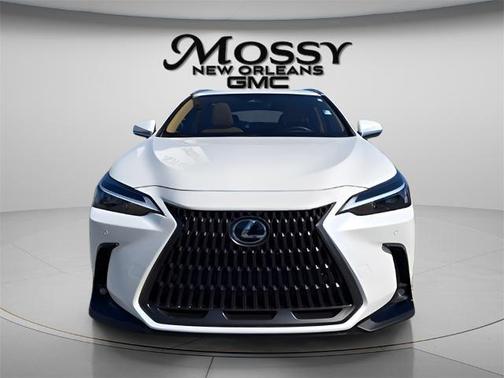 2025 Lexus NX 250 Premium