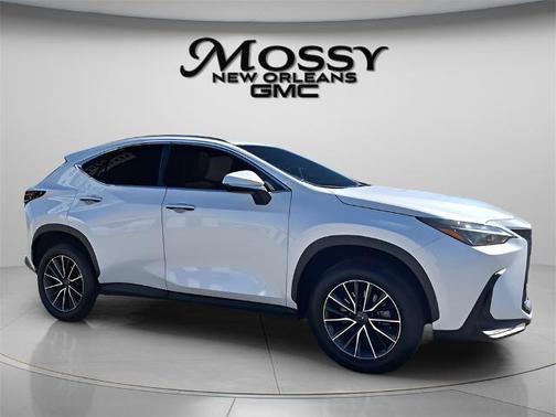 2025 Lexus NX 250 Premium