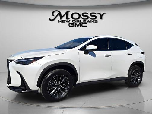 2025 Lexus NX 250 Premium