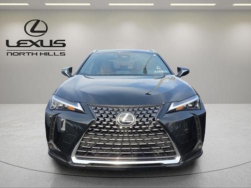 2025 Lexus UX 300h Premium