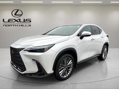 2025 Lexus NX 350 Luxury