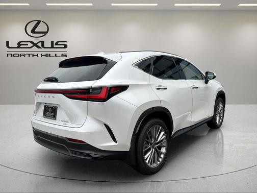 2025 Lexus NX 350 Luxury