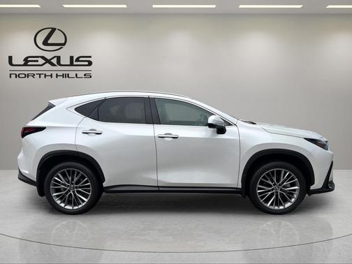 2025 Lexus NX 350 Luxury