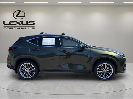 Green Pearl 2025 Lexus NX 350 Luxury