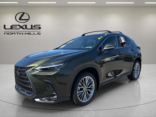 Green Pearl 2025 Lexus NX 350 Luxury