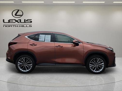 2025 Lexus NX 350 Premium