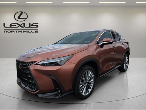 2025 Lexus NX 350 Premium
