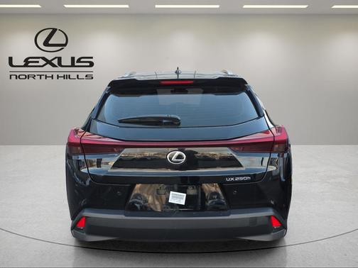 2024 Lexus UX 250h Base