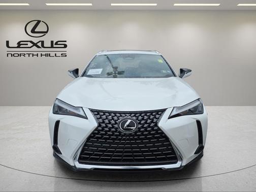 2025 Lexus UX 300h Premium