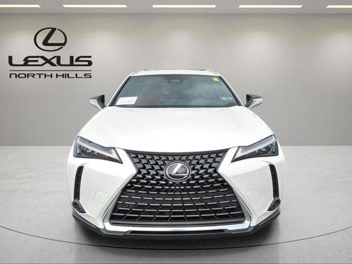 2025 Lexus UX 300h Premium