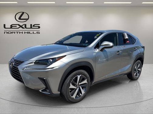 Silver 2020 Lexus NX 300 Base
