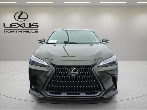 2025 Lexus NX 350 Premium