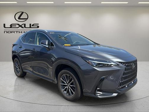 Cloudburst Gray 2025 Lexus NX 350 Premium