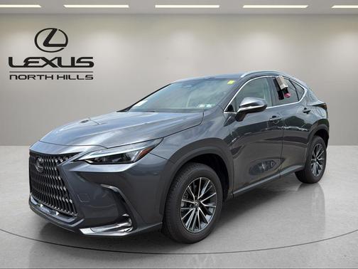 Cloudburst Gray 2025 Lexus NX 350 Premium