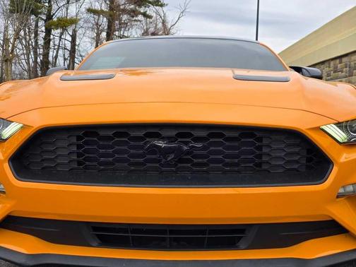 2019 Ford Mustang EcoBoost