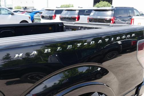 2010 Ford F-150 Harley-Davidson Edition SuperCrew