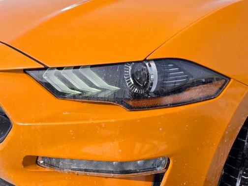 2019 Ford Mustang ECOBOOST