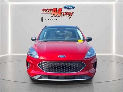 Rapid Red Metallic Tinted Clearcoat 2022 Ford Escape SE