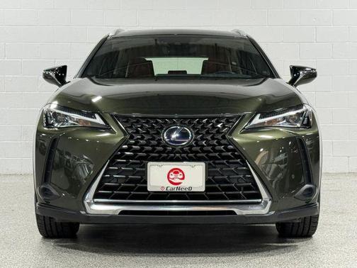 Green 2019 Lexus UX 250h 250H