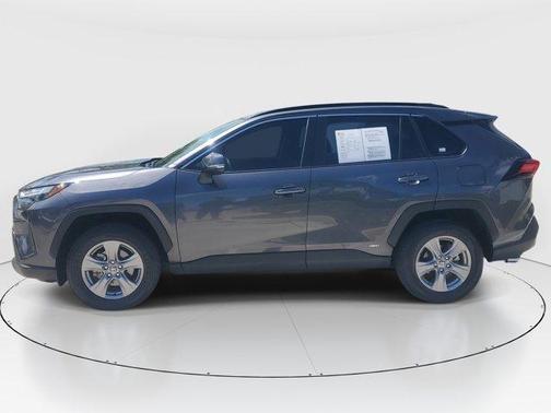 Magnetic Gray Metallic 2025 Toyota RAV4 Hybrid XLE