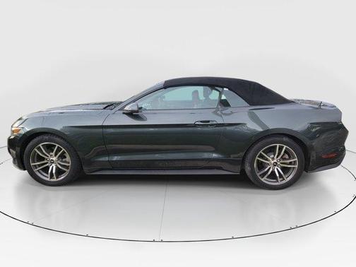 Guard Metallic 2015 Ford Mustang EcoBoost Premium