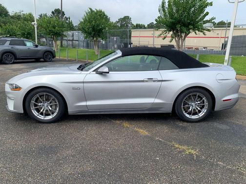 Ingot Silver 2019 Ford Mustang GT Premium