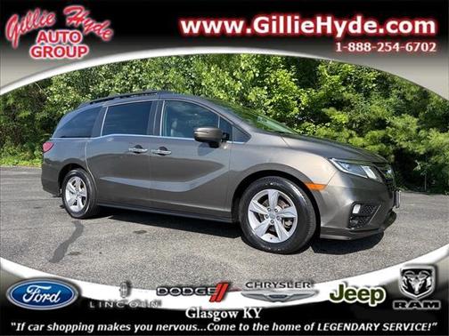 Pacific Pewter Metallic 2019 Honda Odyssey EX-L