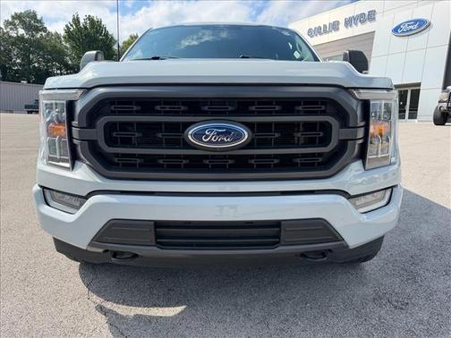 Avalanche Gray 2023 Ford F-150 XL